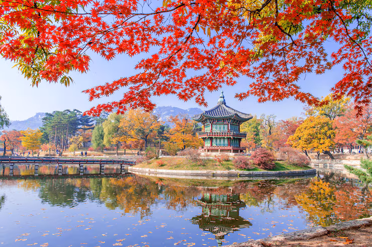 fall leaves in different shades